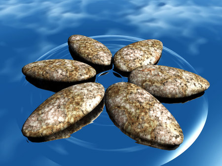 Stone in the shape of flower on the waterの写真素材