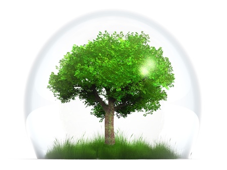 a green tree in a transparent bubbleの写真素材