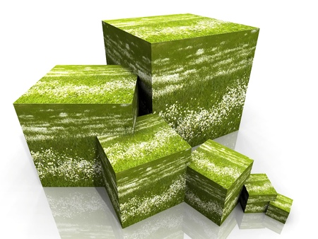 cube of daisies and grassの写真素材