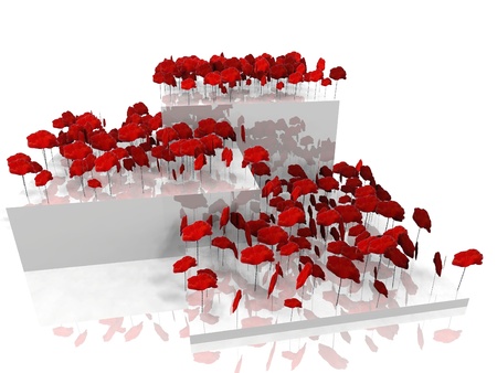 the poppies on white platformsの写真素材