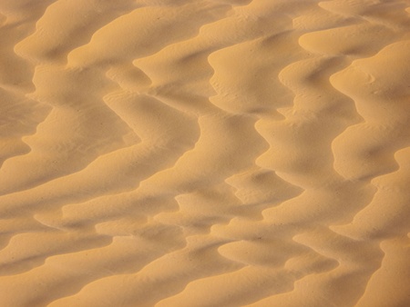 sand and dune in the desertの写真素材