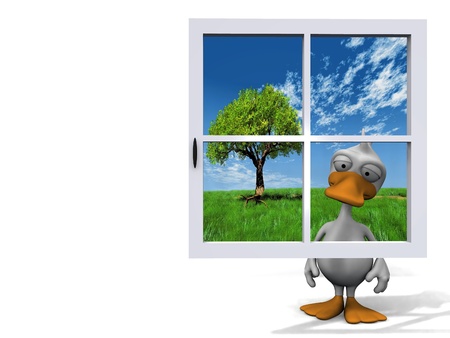 duck behind the blue window
の写真素材