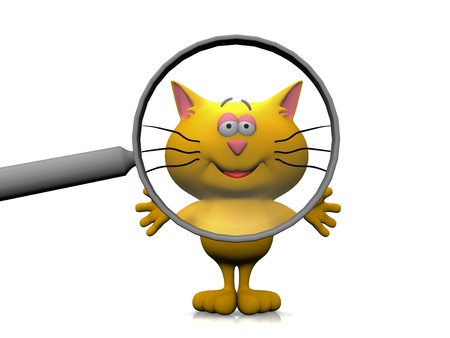 cat and the magnifying glass
の写真素材