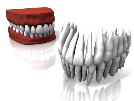 the teeth and false teethの写真素材