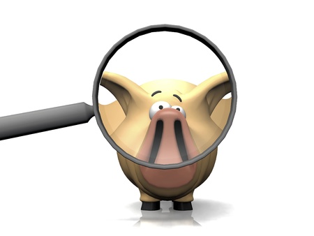 pig and the magnifying glass
の写真素材