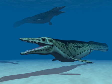 two  Mosasaur are swiming underwaterの写真素材
