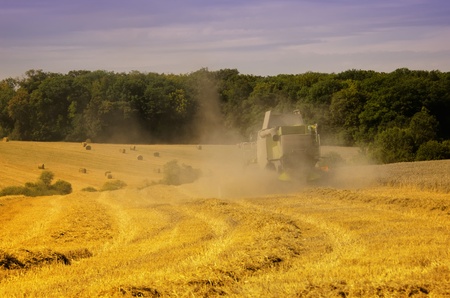 a combine harvester in a fieldの写真素材