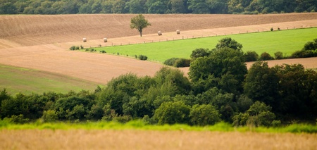 the countryside with fields meadows and treesの写真素材