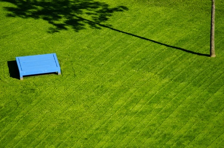 the lawn green with the tree shadowの写真素材