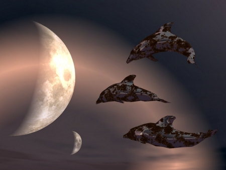 dolphins  in spaceの写真素材