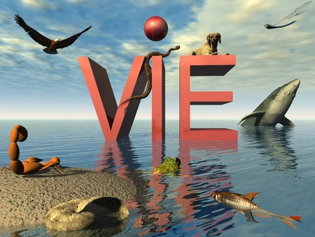 the lifeの写真素材