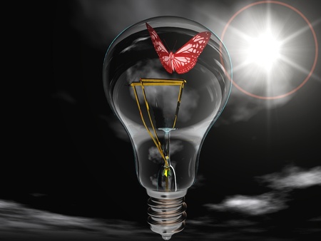 the beautiful butterfly with wingsの写真素材