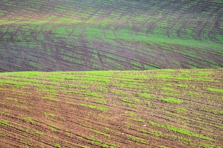 the fields and hillsの写真素材