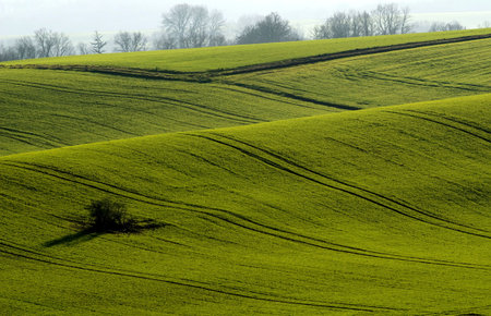 the green fieldsの写真素材