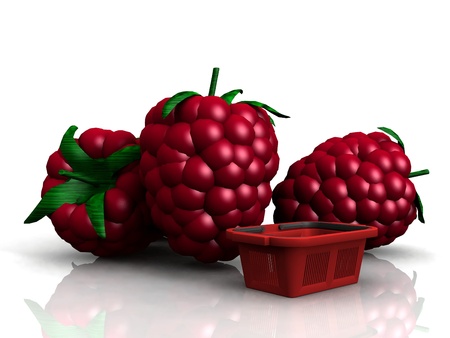 the raspberries and the basketの写真素材