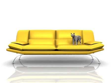 the yellow couchの写真素材