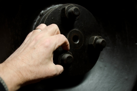 the hand and the nutの写真素材