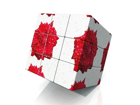 the rose boxの写真素材