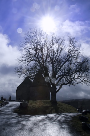 the castle and the treeのeditorial素材