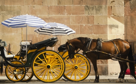 horse and carriageの写真素材