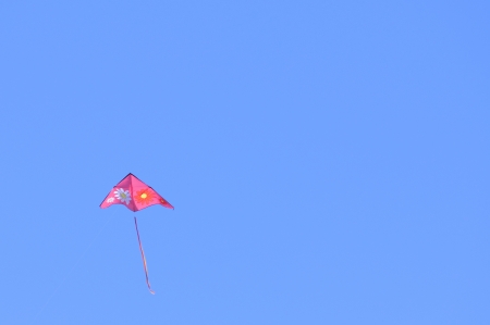 the kiteの写真素材