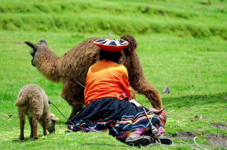 the guardian of Lama