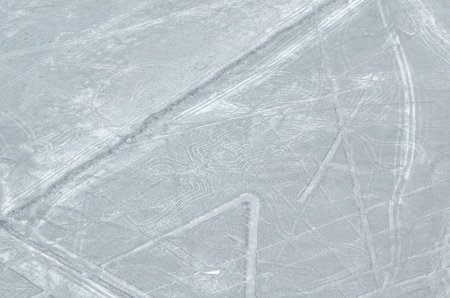 signs of Nazca