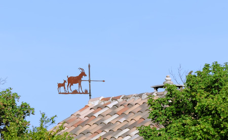 vane and goatsの写真素材