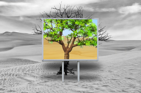 the mirage of advertising