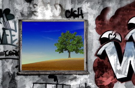 the window and the treeのeditorial素材
