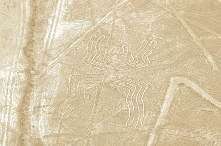 the spider geoglyphs of Nazcaの写真素材