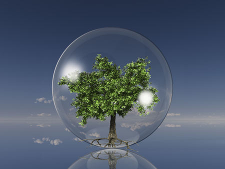 tree in a glass ballの写真素材