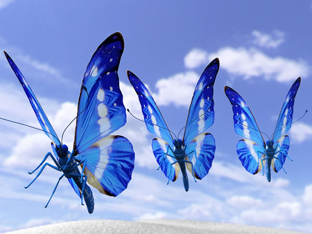 The 3 blue butterfliesの写真素材
