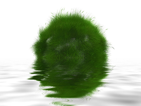 grass and reflection in waterの写真素材