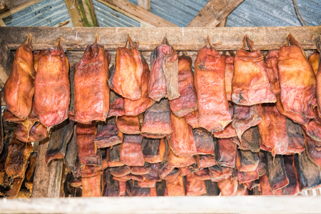 Shark Museum in Icelandのeditorial素材