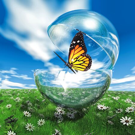 butterfly  in a bubble in the meadowの写真素材