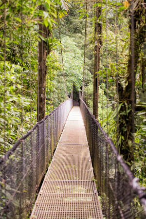hanging bridge in Costa ricaの写真素材