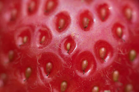 strawberry close upの写真素材