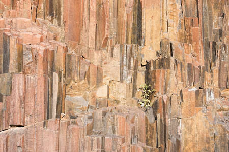 basalt organs in Namibiaの写真素材