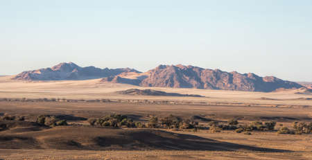 acacias and mountain in the Namib desertの写真素材