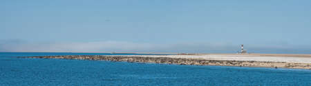 colony of sea lions and lighthouse in Namibiaの写真素材