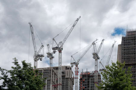 Cranes in Londonの写真素材