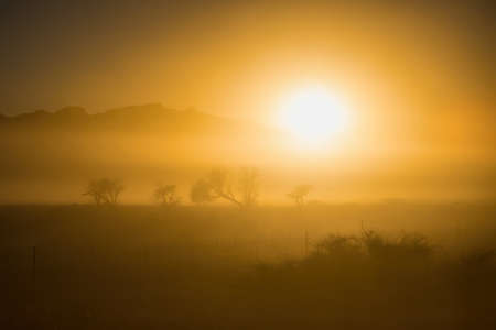 sunrise in the Namib desertの写真素材