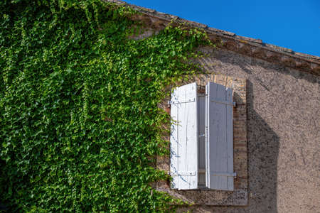 white shutter, green ivy and blue skyの写真素材