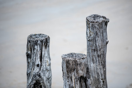 wooden poles in St Maloの写真素材