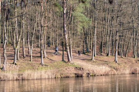 Mountain bike in a forest pathの写真素材