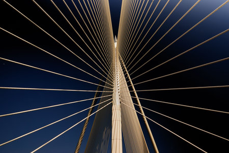 Suspention Bridge at Putrajaya Malaysia