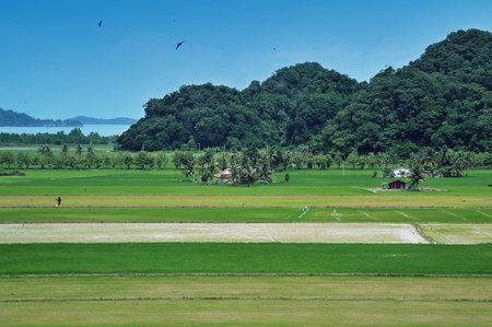 farmers village on the green field