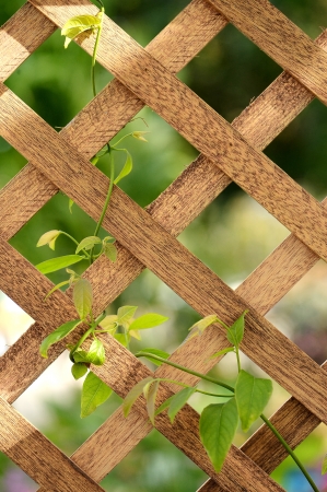 fence surface natural wood backgroundの写真素材