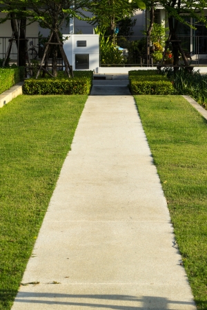 the way in parkの写真素材